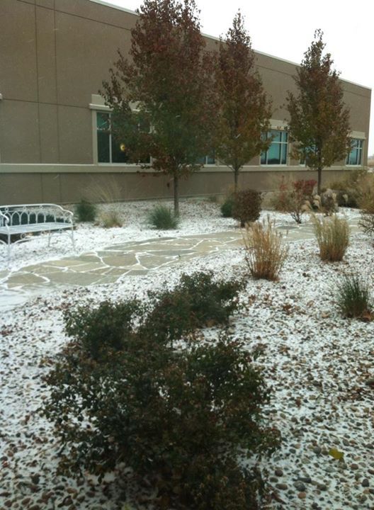 Snow